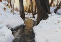 Aleksander  ŻYWIECKI - Zimowy strumień
